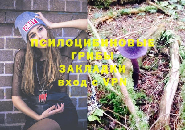 не бодяженный Верхний Тагил