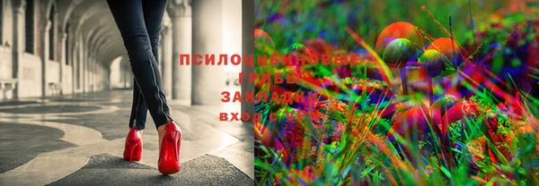 ALPHA PVP Верхнеуральск