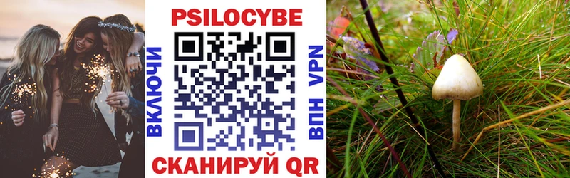 Псилоцибиновые грибы Magic Shrooms  Волоколамск 